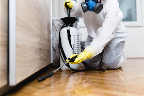 Best Local Pest Control Services  in Estelle, LA