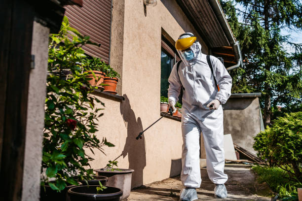 Wasp Removal Services in Estelle, LA