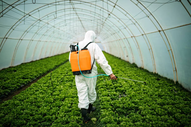 Best Pest Removal Services  in Estelle, LA