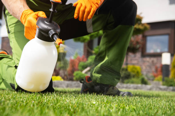 Best Rat Extermination Near Me  in Estelle, LA