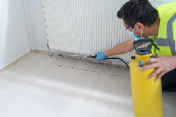 Best Best Pest Control Companies  in Estelle, LA