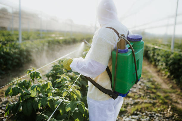 Best Commercial Pest Control Services  in Estelle, LA